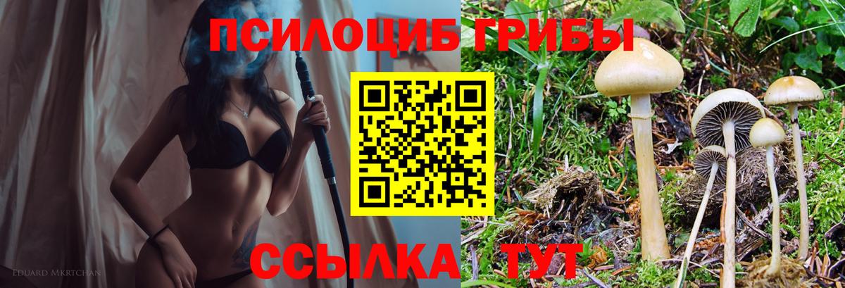 Иркутск  дарнет шоп  Вход с VPN  Псилоцибиновые грибы прущие грибы 