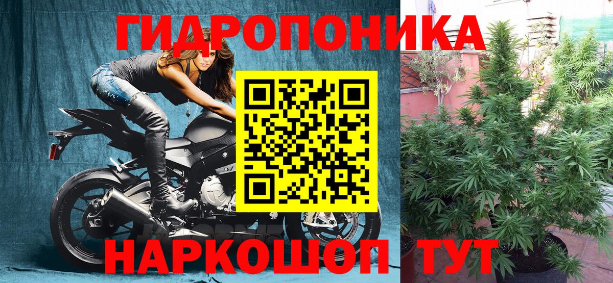 Иркутск  Бошки Шишки индика  МАРИХУАНА тримм  Бошки Шишки Ganja  Вход с VPN 